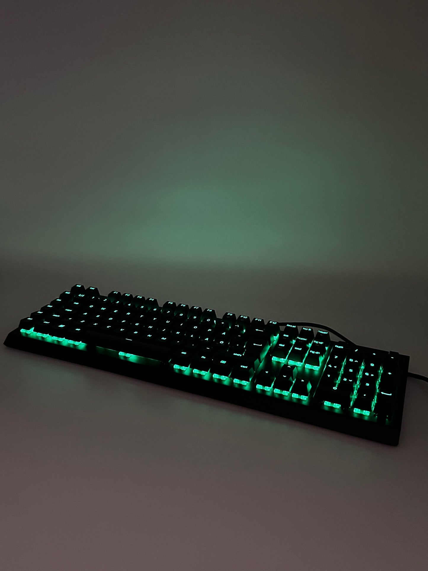Razer Blackwidow V4 X (Razer Green Switches) Gaming Žaidimų Klaviatūra