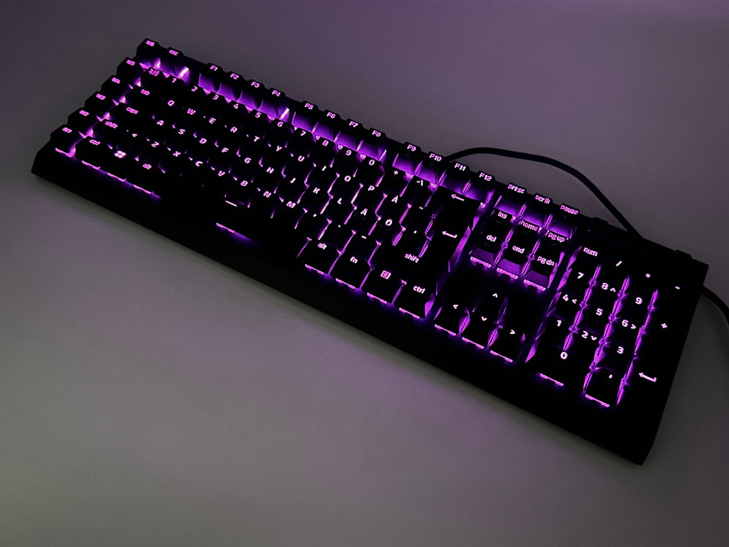 Razer Blackwidow V4 X (Razer Green Switches) Gaming Žaidimų Klaviatūra
